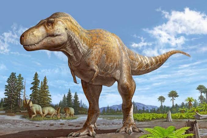 Tiranosaurus Rex